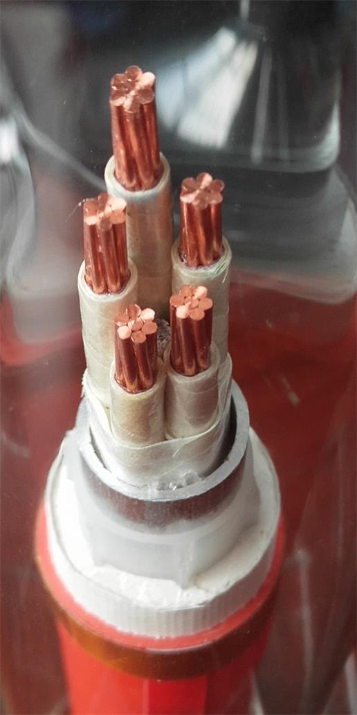 重慶亚洲无码麻豆蜜桃廠家