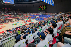 现品牌回忆的普遍渗入